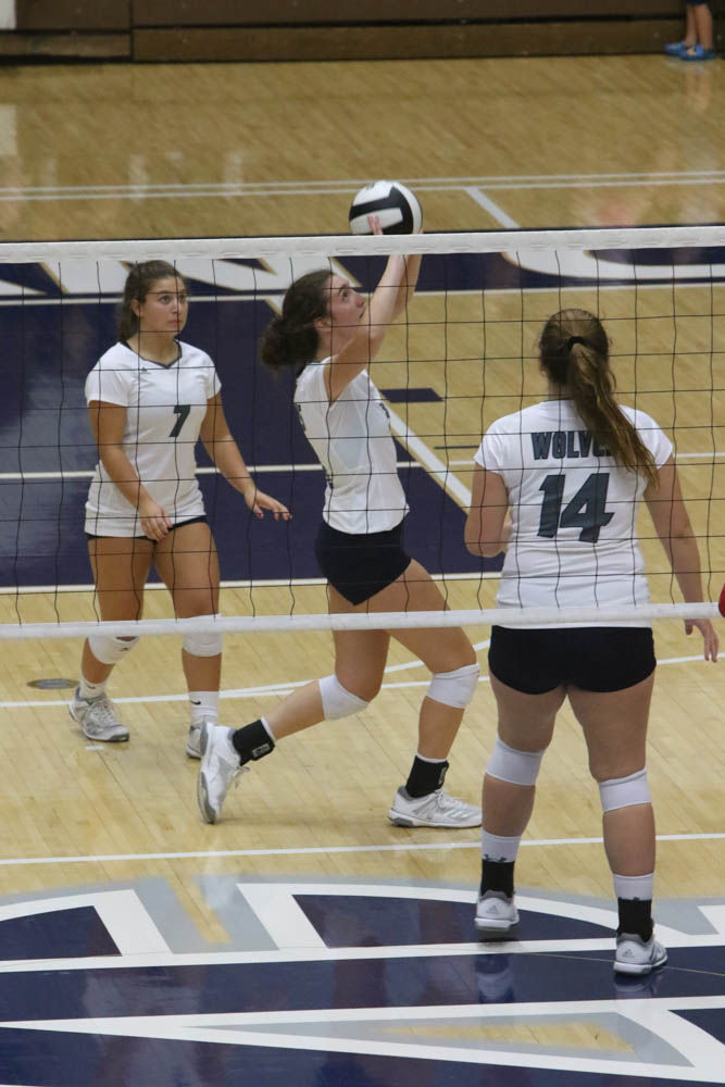 Gallery: Girls volleyball - Crown Point at Michigan City